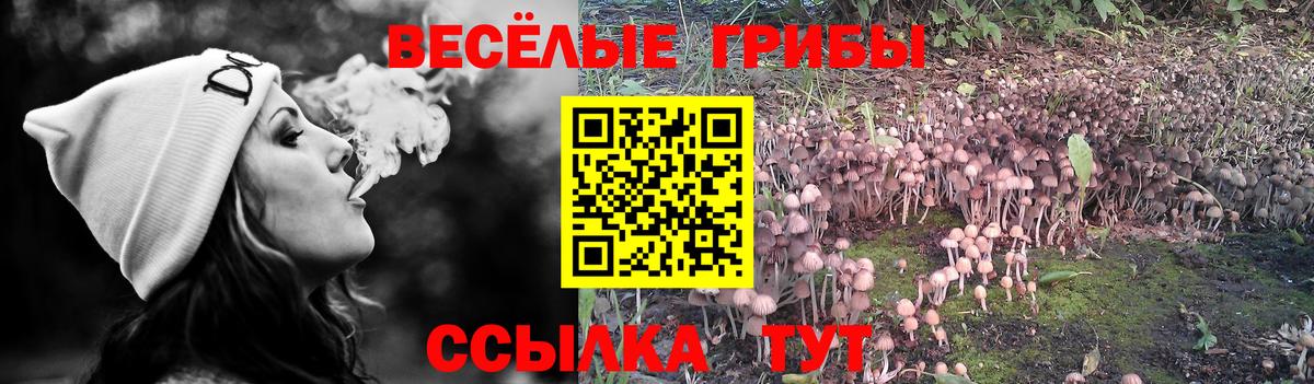 Касимов  COCAIN  Гашиш  Вход с VPN  МДМА  Альфа ПВП СК кристаллы  Мефедрон  Мефедрон   МАРИХУАНА  Гашиш 