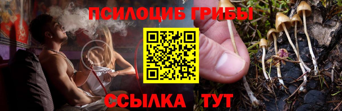 Псилоцибиновые грибы MAGIC MUSHROOMS  Вход с VPN  хочу   Касимов  Галлюциногенные грибы мухоморы 